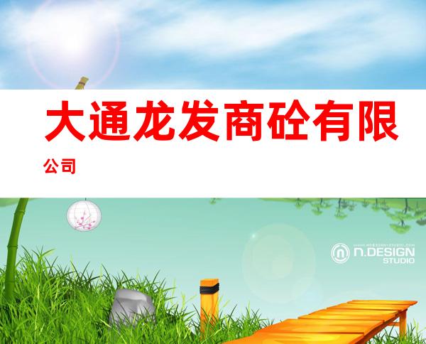 大通龙发商砼有限公司
